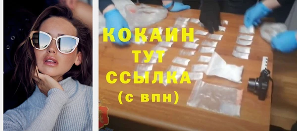гашик Бородино