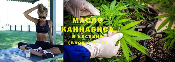 гашик Бородино