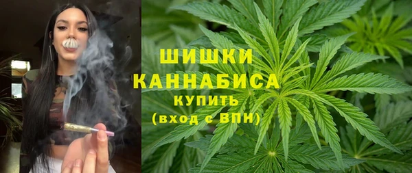 гашик Бородино