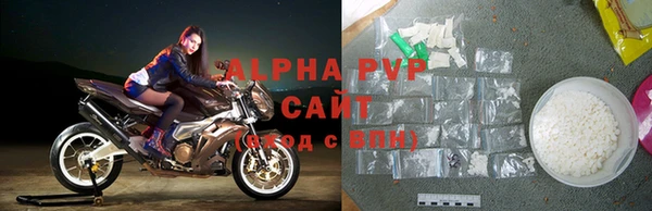 гашик Бородино