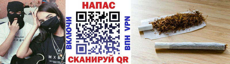 купить закладку  Волгореченск  МАРИХУАНА ГИДРОПОН 
